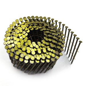 Coil Nail
